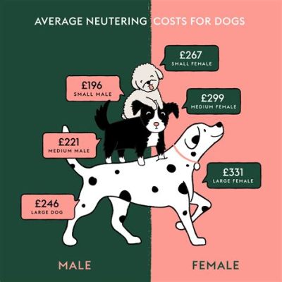 母狗可以做絕育多少錢:犬只絕育手術費用因地區、診所及種類而異